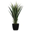 Plante artificielle Yucca - H 60 cm