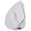 Souris ergo verticale - Blanc - T'NB