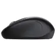 Souris Sans Fil Bluetooth - Ambidextre - TRUST
