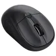Souris Sans Fil Bluetooth - Ambidextre - TRUST