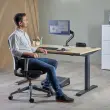 Unité d'Électrification - Power Desk 2 - USB-A USB-C - Noir - FELLOWES
