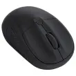 Souris Sans Fil Noire Ergonomique - Ambidextre - TRUST 