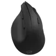 Souris Sans Fil Ergonomique M30W - Triple Connexion - MOBILITY LAB 