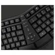 Clavier + Souris Sans Fil Ergonomique Multiconnexion C30W - MOBILITY LAB