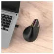 Souris sans fil ergonomique - MOBILITY LAB