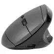 Souris ergonomique MidWay 3 