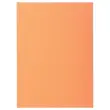 250 Sous-chemises FIDUCIAL 22x31cm- Pastel- 60g 