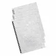 100 Couvertures A4 cartonn&eacute;es - blanc - FELLOWES 