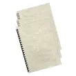 100 Couvertures A4 cartonnées - FELLOWES