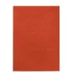 100 Couvertures A4 grain cuir - Rouge - Fellowes 