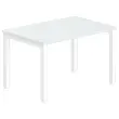Bureau BRUXELLES 120 x 80 gris - piedsblancs