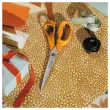 Paire de ciseaux FISKARS Classic professionnels- 25 cm, droitiers