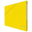 10 Chemises - Alpina - Carte lustr&eacute;e - Jaune - OXFORD 