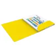 10 Chemises - Alpina - Carte lustr&eacute;e - Jaune - OXFORD 