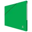 10 Chemises - Alpina - Carte lustrée - Vert - OXFORD
