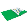 10 Chemises - Alpina - Carte lustrée - Vert - OXFORD