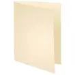 100 Chemises 24 x 32 cm Super 210 - Beige - Exacompta 