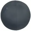 Ballon assise ergonomique Ergo Cosy Active - Ø 65 cm - Noir - Leitz