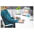 Souris ergonomique sans fil penguin grand mod&egrave;le 