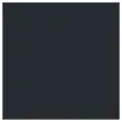 125 serviettes double &eacute;paisseur - 33x33cm - Noir - DUNI 