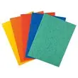 25 Chemises Carte lustrée - 225g - assortis - EXACOMPTA