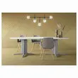 Table r&eacute;union ovale 200x120 ch&ecirc;ne vein&eacute;/aluminium 