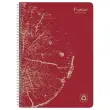 Cahier recyclé à spirales pages A4 ligné.