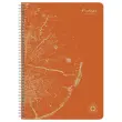 Cahier recyclé à spirales pages A4 ligné.