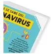 5 Pochettes d'affichage KANG EASY CLIC antimicrobiennes A4