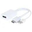 Convertisseur HDMI DisplayPort 