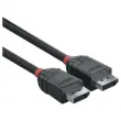 Câble DisplayPort 1.2, Black Line, 2m - LINDY