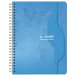 Cahier spirales - 70g - 17x22cm, Seyes, 100 pages - CALLIGRAPHE
