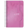 Carnet spirale Calligraphe 70g, 11x17cm,5x5, 100 pages
