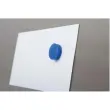 10 AIMANT DAHLE 24MM BLEU 