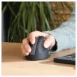 Souris egonomique sans fil droit 