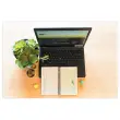 Carnet Atlanta " To do " - 19,5 x 12,5 cm - Vert - Djois