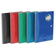 Cahier Oxford Oceanis int A4 180 pages5x5 PP 