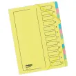 Trieur avec élastique - dos extensible renforcé - 12 compartiments