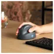 Souris ergo HE basic sans fil
