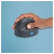 Souris ergo HE basic sans fil