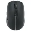 Souris gradient Dual Connect noire 
