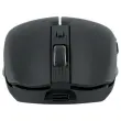 Souris gradient Dual Connect noire 