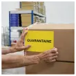 50 planches &eacute;tiquettes L210xH148mm, 100 &eacute;tiq/ bo&icirc;te, jaune 