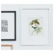 Languettes accroche-tableaux - Taille M - Blanc - Command 