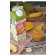 Brique 1 litre de jus multifruits BIO
