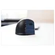 Souris ergonomique verticale sans fil Evoluent 4 droitier