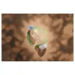 Rouleau adh&eacute;sif transparent Tesafilm&reg; Eco & Crystal 33mx19mm 