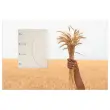 10 Chemise Smartfolder Uno Tree-free DJOIS - Beige