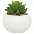 3 plantes succulentes artificielles 