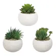 3 plantes succulentes artificielles 